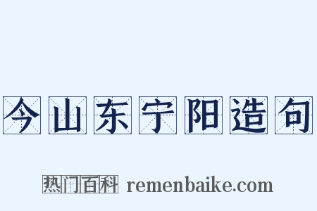 今山东宁阳造句是什么意思的图片